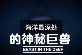 盘点海洋最深处的生物视频封面