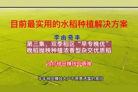 目前最实用的水稻种植解决方案，年年种田赚钱大户不外传的秘密视频封面