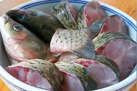 我家草鱼从来不红烧，放一个洋葱，不煎也不炸，一顿三斤不够吃