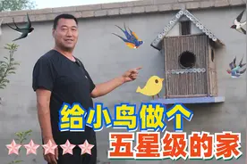 农村大叔自制庭院豪华鸟窝，鸟儿迫不及待的想入住啦！视频封面