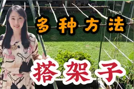 搭架子的多种方法，蔬果架这样搭，简单快速，结实耐用