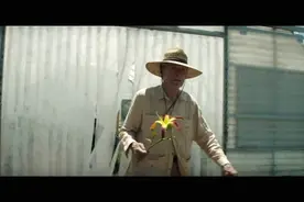 真实事件改编 90岁大爷自主创业 短短数月身价倍增的犯罪之旅视频封面