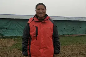 养羊老张分享：母羊不让羊羔吃奶是什么原因？