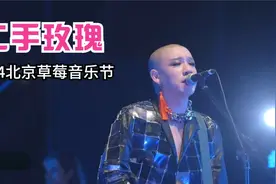 北京草莓音乐节收录/东北二人转民族摇滚--二手玫瑰(2014)视频封面