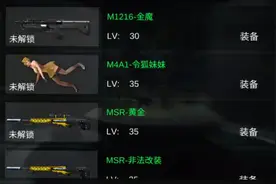 M4A1灵狐妹妹步枪，这山寨版的火线很有意思视频封面