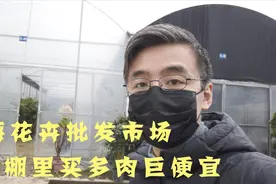 上海这个大棚里的花卉市场，多肉和盆栽都很便宜，闭着眼睛买！视频封面