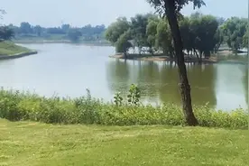 森林、草地和湖泊，郑州北边“藏”着这样一片宝藏生态廊道视频封面