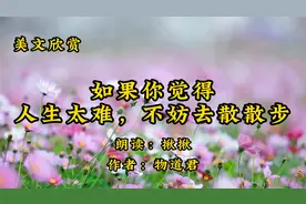 抒情散文朗诵《如果你觉得人生太难，不妨去散散步》作者物道君
