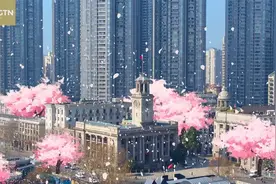 这个春天终于不孤单 来看唯美武汉樱花大片视频封面