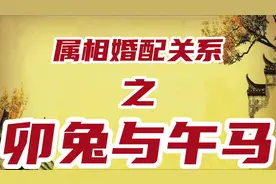 属兔人和属马人的婚配关系解读视频封面