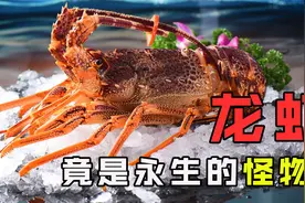 龙虾能够永生？科学家将它与人类联系在一起，竟发现重大秘密！视频封面