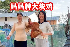 得空，老妈抓只土鸡给女儿补补，妈妈牌大块鸡做法，忘不了的味道视频封面