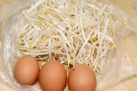 绿豆芽炒鸡蛋家常做法，几分钟出锅，简单好吃，鲜香味美，真下饭
