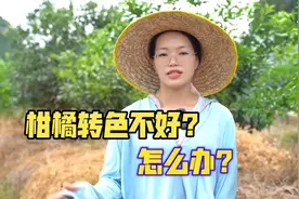 柑橘转色期，如何提高果实转色率？渔美荏转色经典配方使用方法！视频封面