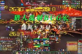 猎人乱射BUG宏使用介绍及演练 #巫妖王之怒  #猎人视频封面