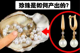 珍珠是怎么产生的？为什么生蚝要产出珍珠？