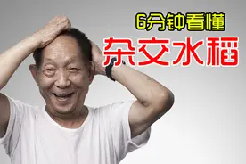 6分钟看懂，袁隆平是如何发现杂交水稻的？