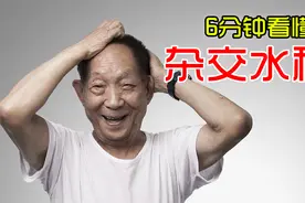 6分钟看懂，袁隆平是如何发现杂交水稻的？
