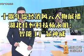 十堰年度经济风云人物展播  湖北佳恒科技杨永明：智能工厂显神威视频封面