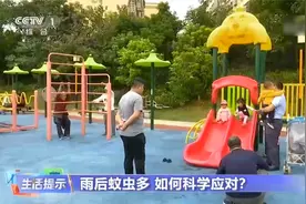 注意！这些人群被蚊虫叮咬后易出现过敏反应