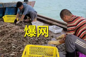 开渔第一天花680包船出海捕捞，起网后虾蟹堆满渔船，爆网了视频封面