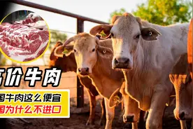 15一斤的美国牛肉“不计其数”，这么便宜的价格，是谁在支撑？视频封面