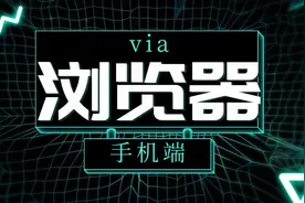 手机端有哪些好用的浏览器？via浏览器，界面简洁功能强大！