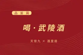 武陵酒好不好喝？酱香型白酒详细品评，酱酒口粮评测视频封面