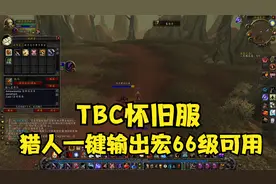 魔兽世界怀旧服：猎人一键输出宏（稳固射击 + 杀戮命令）