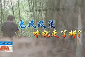 种植户有一难，惠民政策“兑现难”，10年来公益林补偿金去哪了？视频封面