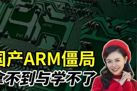 国产ARM僵局，拿不到与学不了？视频封面