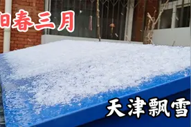 2022年3月17日，天津又下雪了，三月中旬飘雪花很少见到视频封面