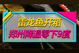 雷龙鱼开箱！额！我可能不适合养雷龙！视频封面