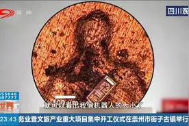 一周内能生产百万个！微型机器人或可进入人体 成为医疗“军团”视频封面