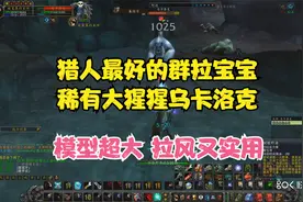 怀旧服猎人最好的群拉宝宝稀有猩猩 70版本神宠视频封面