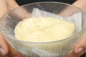 金针菇切掉的根部，小象它几天就种出了金针菇，方法简单，都试试