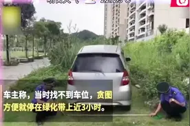 绿化带变停车位？深圳一车主将车停进绿化带，3小时被罚3千！视频封面