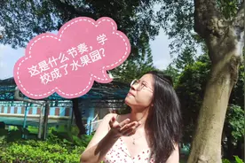 学校变成了水果园？这些水果你们学校有吗？视频封面