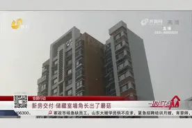 交房一个月，储藏室墙角长出蘑菇，潮湿到不能用，开发商却不见人视频封面