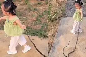 2岁女孩把蛇干当玩具，吓跑的妈妈问她为啥不害怕，女孩回答亮了视频封面