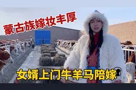 蒙古族小情侣谈婚论嫁：牧区结婚陪嫁多少钱？100万牛羊全是嫁妆视频封面