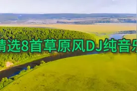 精选8首草原风DJ纯音乐，是不是困迷糊了，听首DJ纯音乐提提神吧视频封面