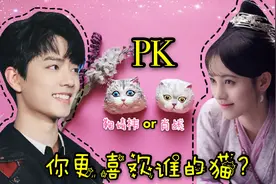 你喜欢男神肖战的猫还是女神鞠婧祎的猫？手绘石膏布偶猫教程视频封面