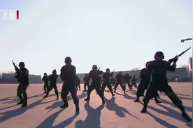 明星们进部队，第一次见特种兵训练，吼声震耳欲聋，太震撼视频封面