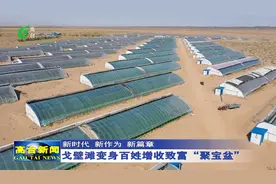 高台：戈壁滩变身百姓增收致富“聚宝盆”视频封面