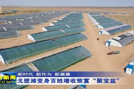 高台：戈壁滩变身百姓增收致富“聚宝盆”视频封面