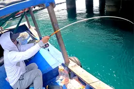 钓铁尾鱼手感太刺激，拉力比10斤翘嘴还疯狂，连鱼竿都拉下海视频封面
