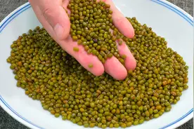 不管煮绿豆黑豆还是红豆，煮前只需要多加一步，6分钟全煮软烂视频封面