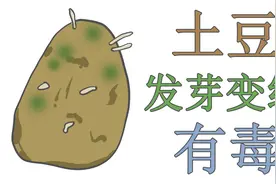 【科普】吃发芽的土豆为什么会中毒？清水溶解浸泡加米醋驱除毒素视频封面
