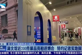 【第五届中国国际进口博览会】 湖北馆近200件展品亮相进博会视频封面